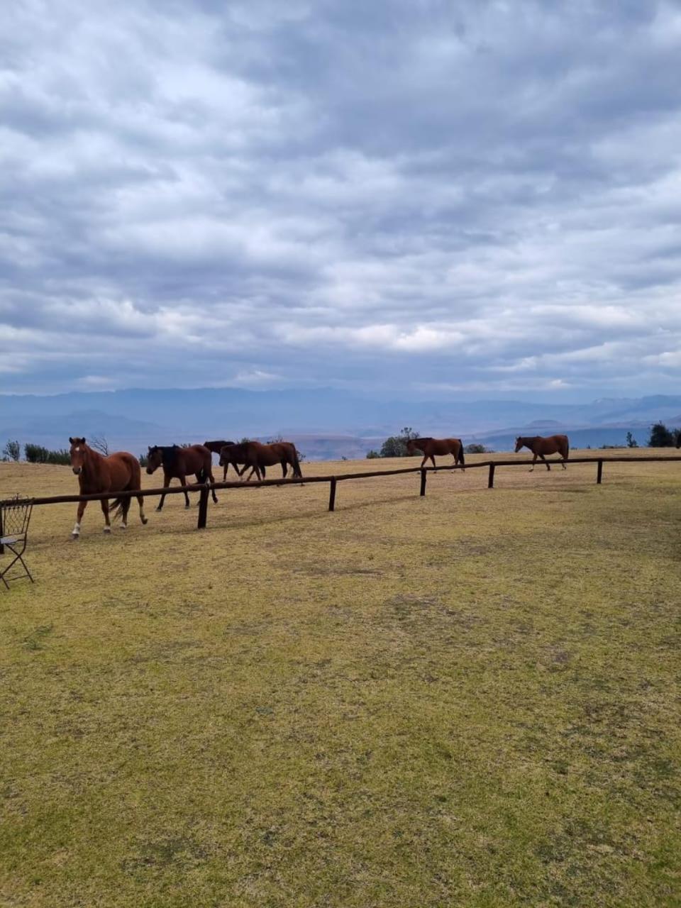 Drakensberg Mountain Retreat Guest House Bergville Exterior photo